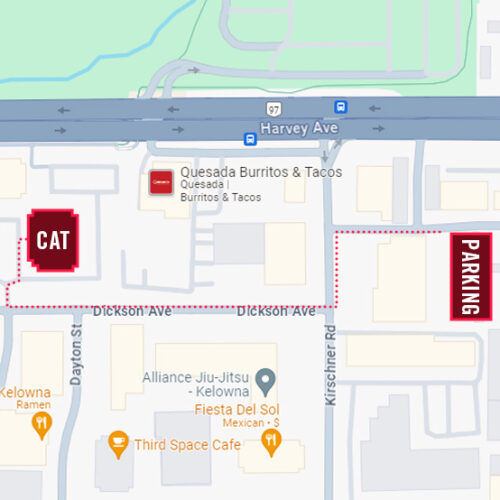 Google-Maps---PARKING