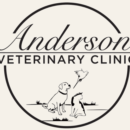 Anderson-vet