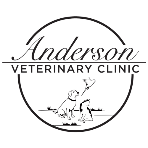 Anderson-vet-sq