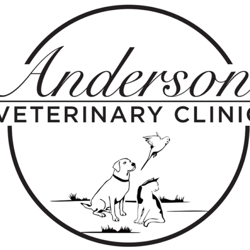 Anderson-vet-wht